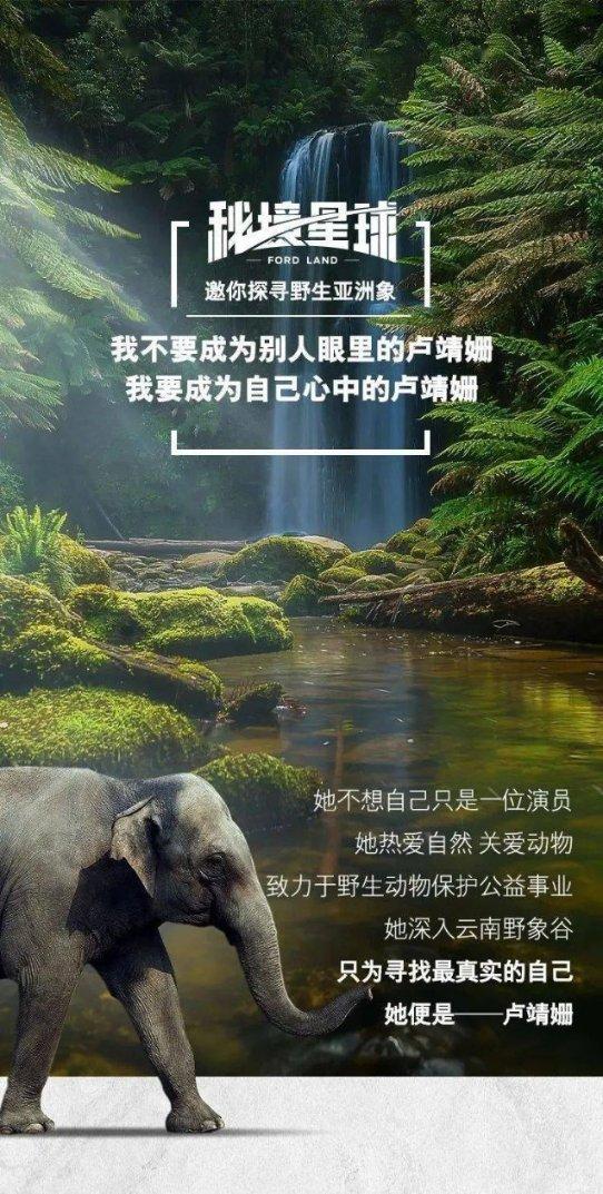 记者大逃脱