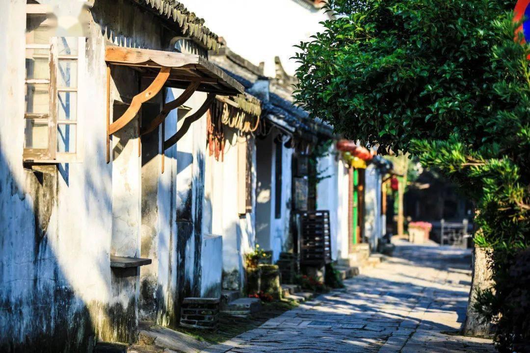你喜欢或者正在从事宠物医生这份职业么？我们总结了40个乐趣！